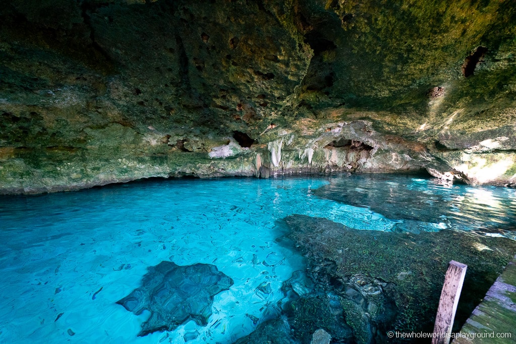 13 Best Cenotes near Playa Del Carmen (2020) | The Whole World Is A