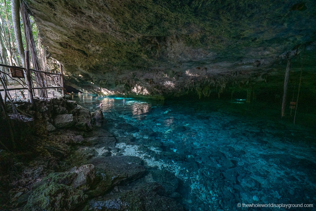 13 Best Cenotes near Playa Del Carmen (2020) | The Whole World Is A