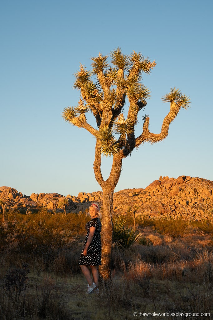 Instagram Spots Joshua Tree