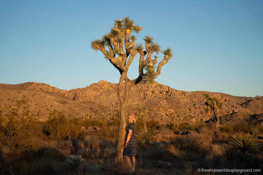 Instagram Spots Joshua Tree