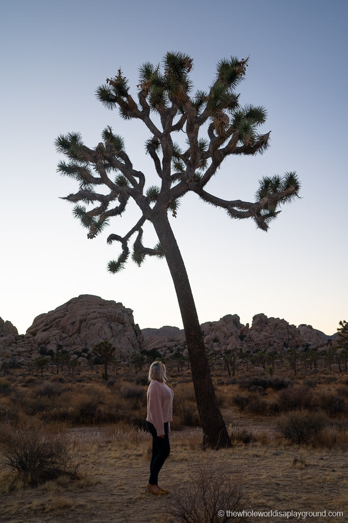 Instagram Spots Joshua Tree