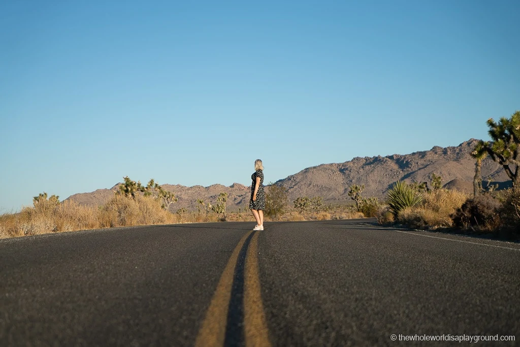 most Instagrammable places in Joshua Tree