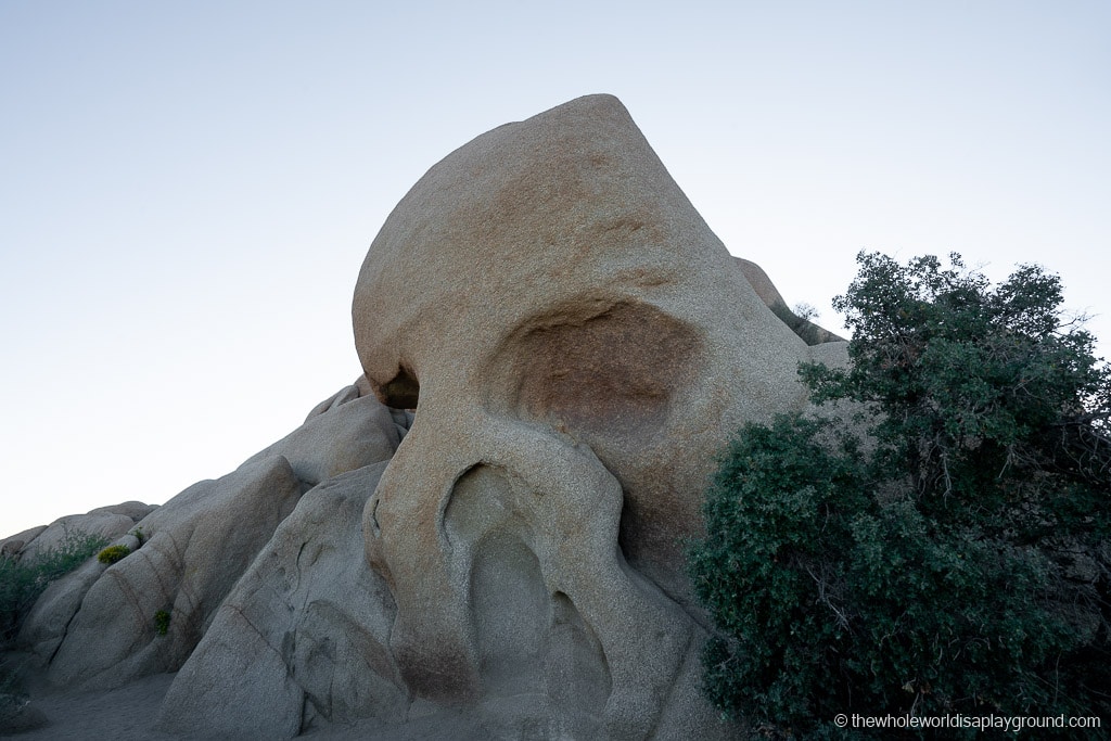 Instagram Spots Joshua Tree