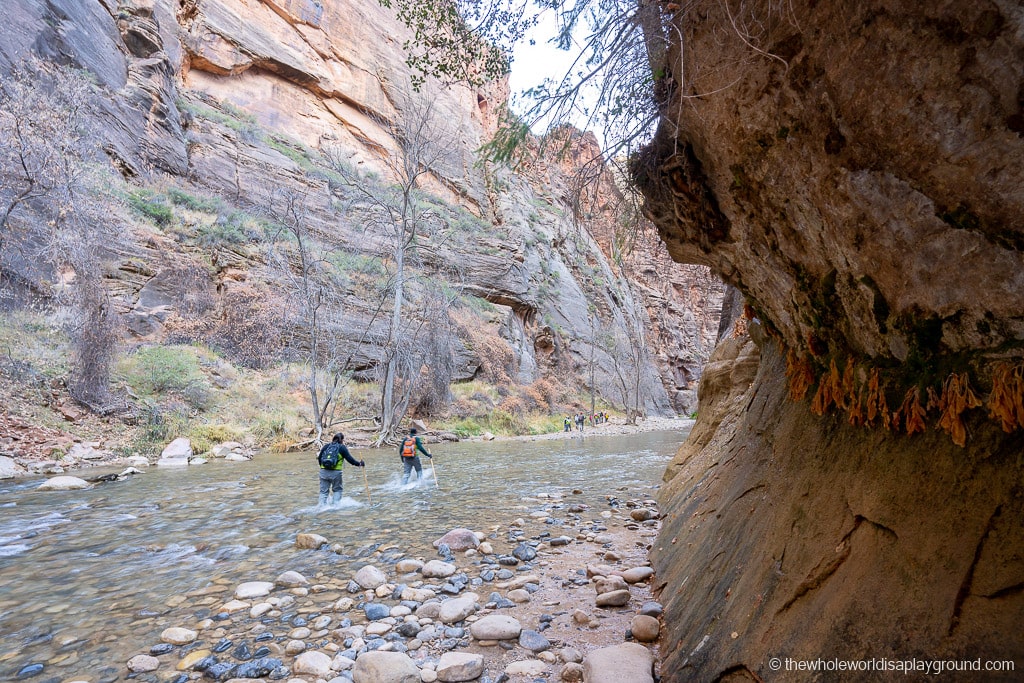 Riverside Walk Hike Zion