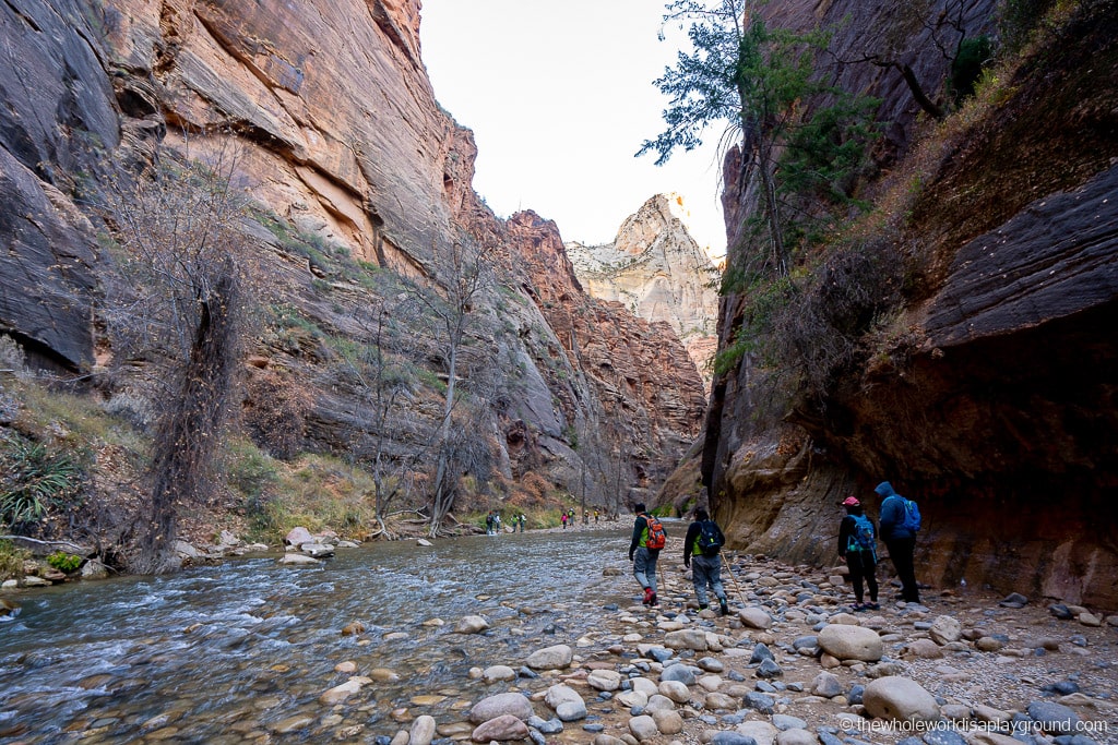 Riverside Walk, Zion National Park | The Whole World Is A Playground