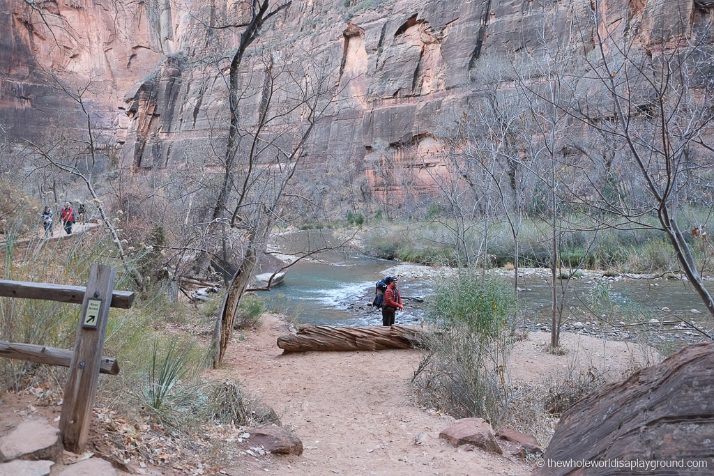 Riverside Walk Hike Zion
