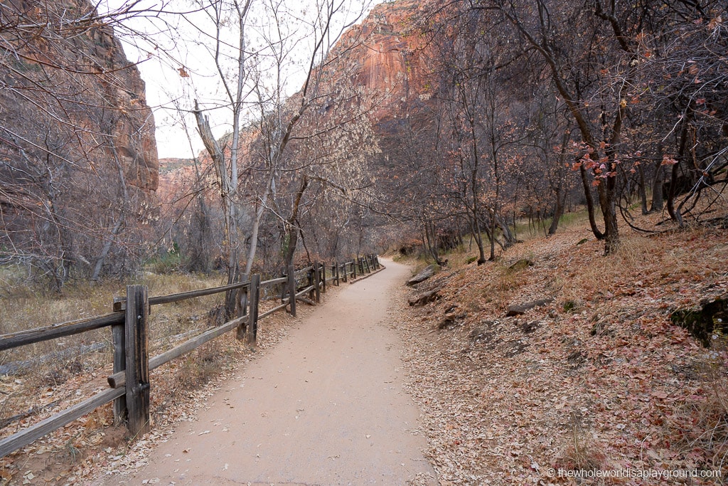 Riverside Walk, Zion National Park | The Whole World Is A Playground