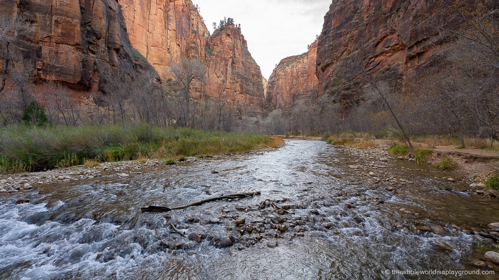 Riverside Walk Hike Zion