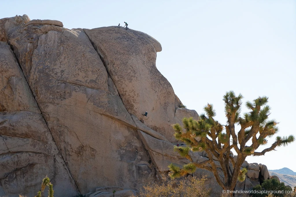 Things to do in Joshua Tree National Park