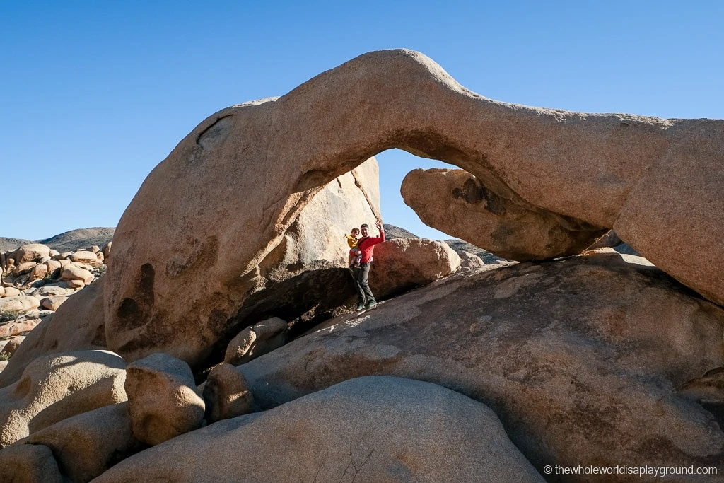 Things to do in Joshua Tree National Park