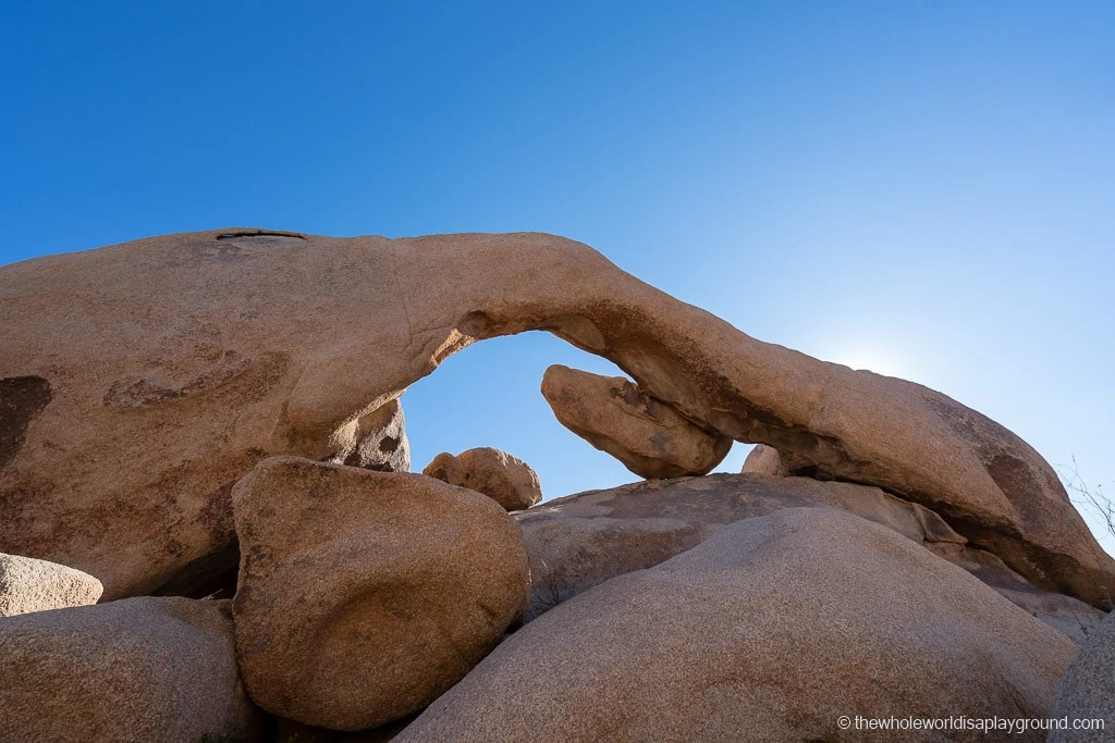 Things to do in Joshua Tree National Park