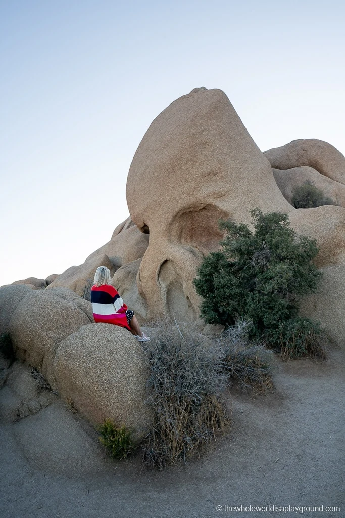 Things to do in Joshua Tree National Park