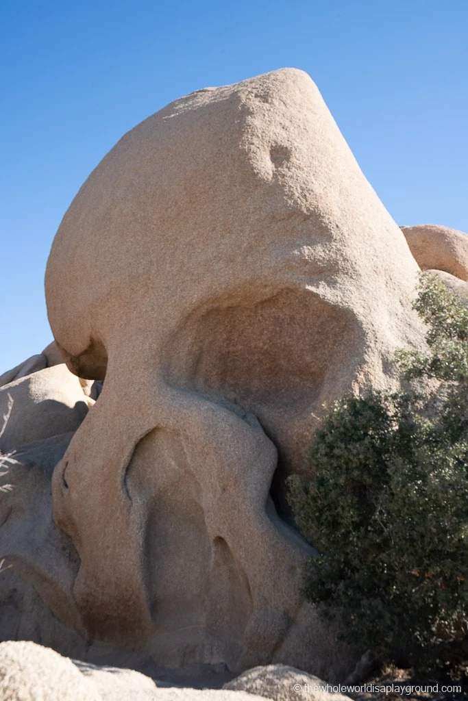 Things to do in Joshua Tree National Park