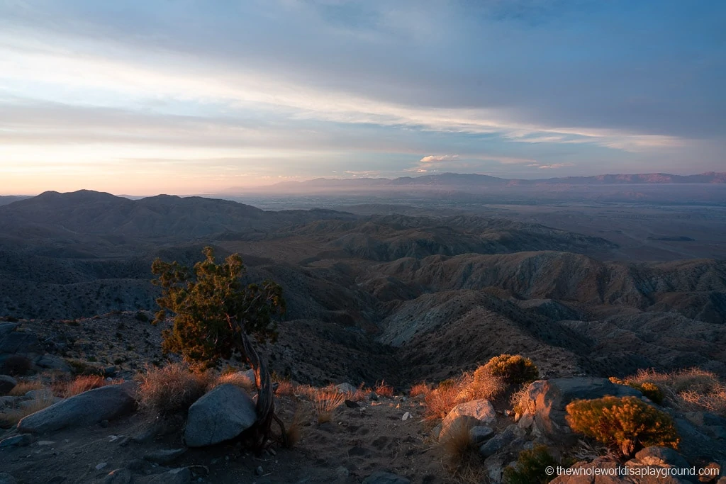 Things to do in Joshua Tree National Park