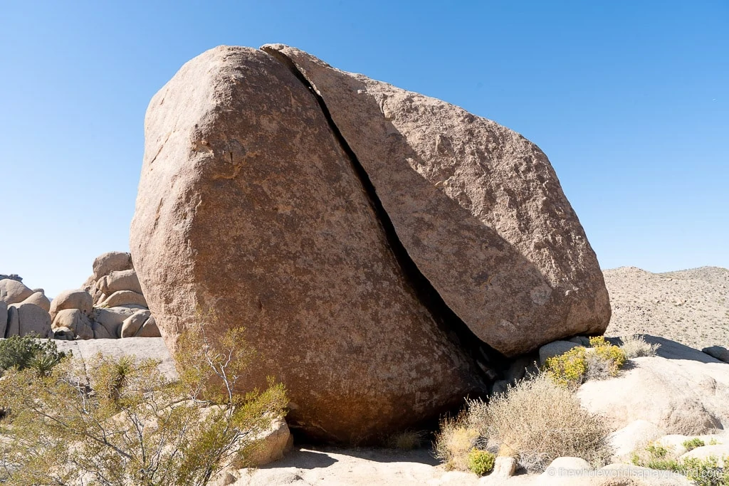 Things to do in Joshua Tree National Park