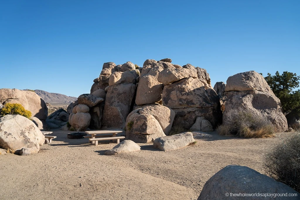 Things to do in Joshua Tree National Park