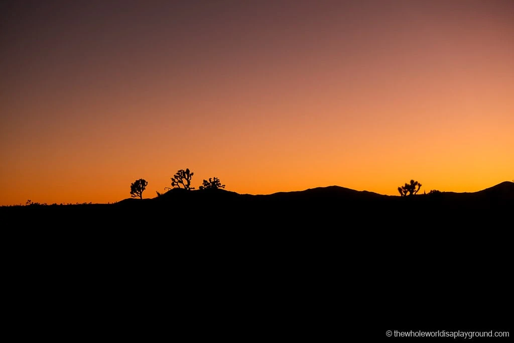 Things to do in Joshua Tree National Park