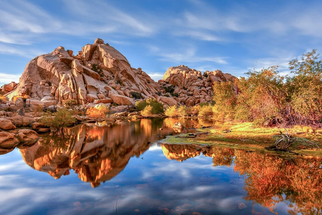 Things to do in Joshua Tree National Park