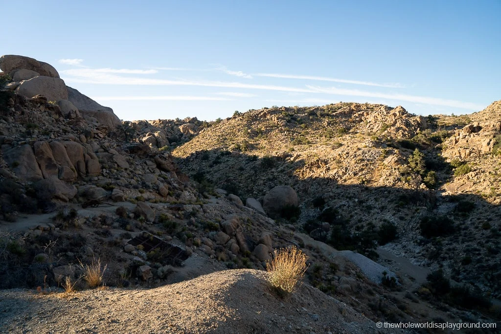 Things to do in Joshua Tree National Park