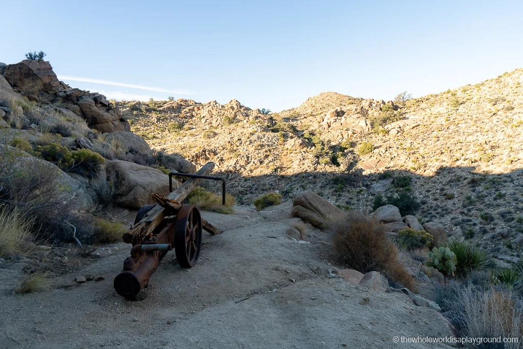 Things to do in Joshua Tree National Park