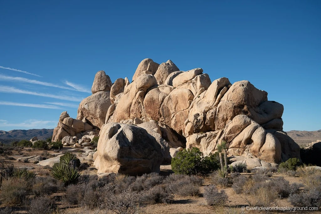 Things to do in Joshua Tree National Park