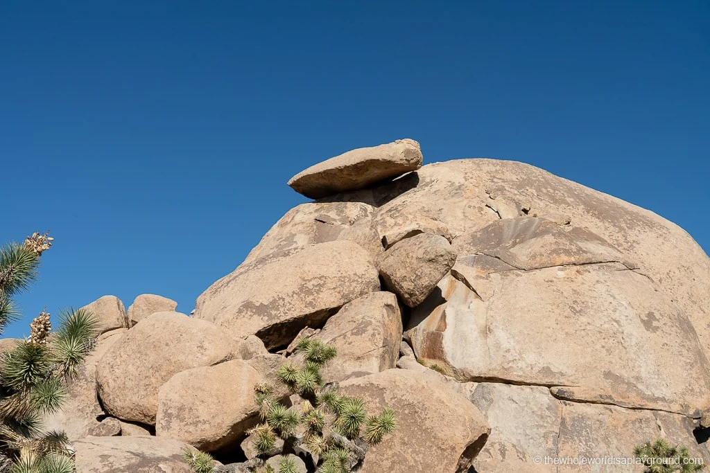 Things to do in Joshua Tree National Park