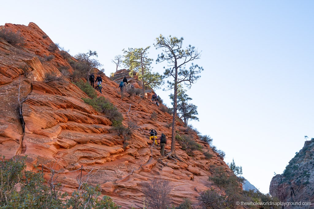 Angels Landing Hike