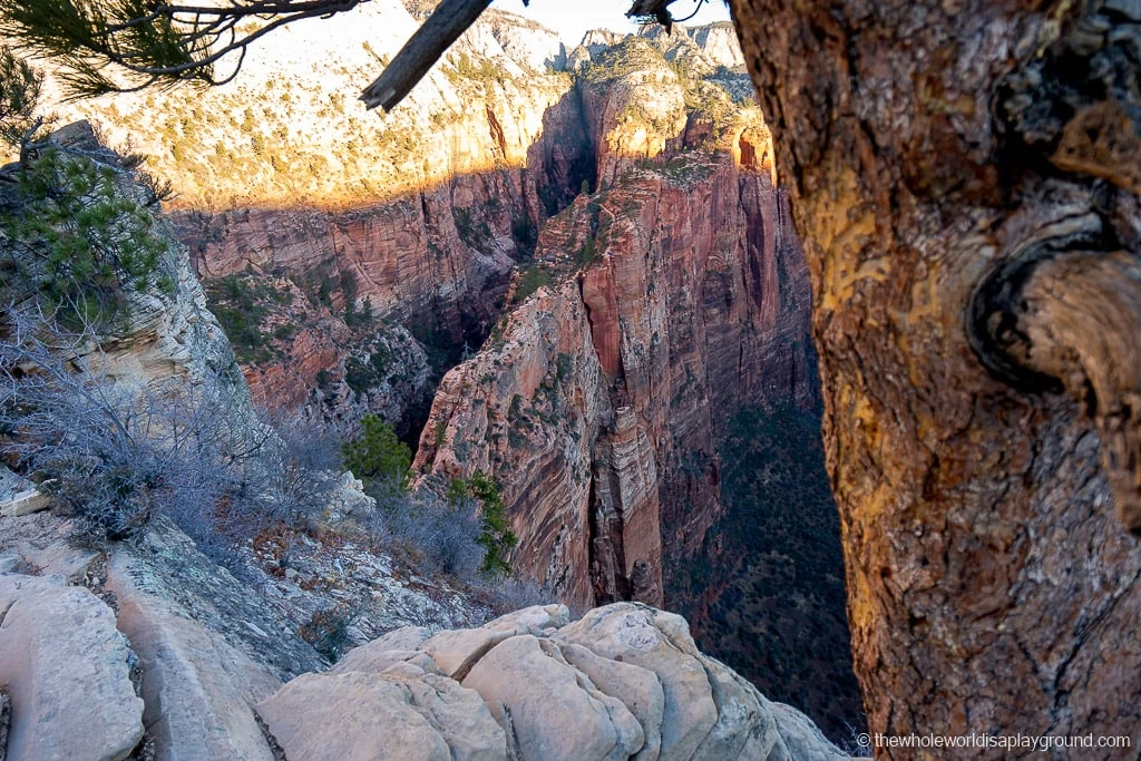 Angels Landing Hike