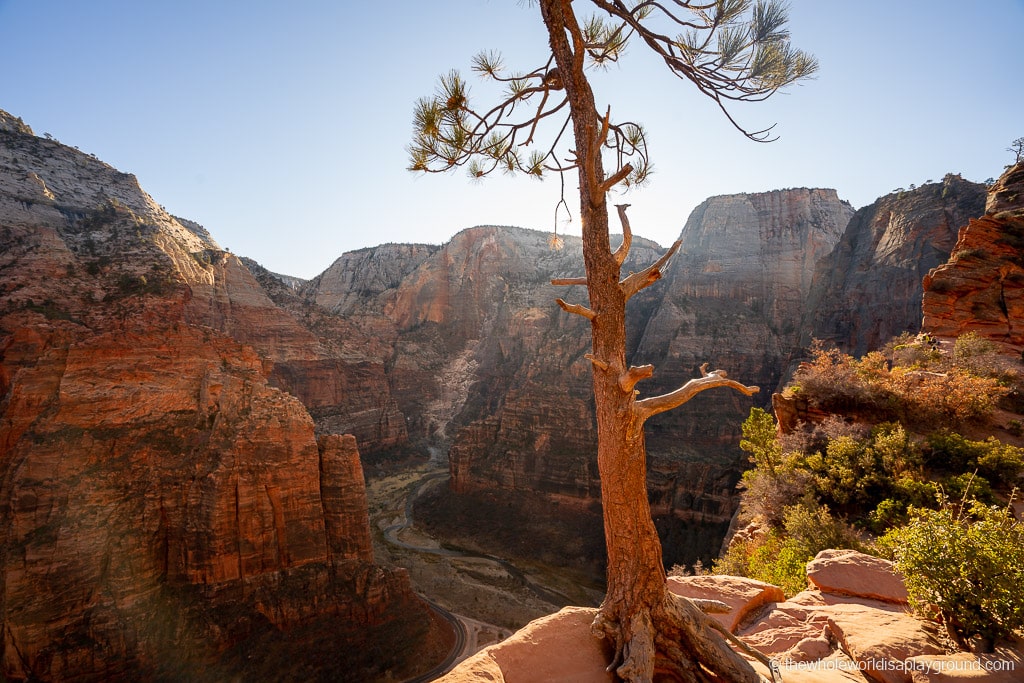 Angels Landing Hike