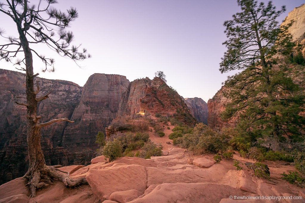 Scout Lookout Zion National Park