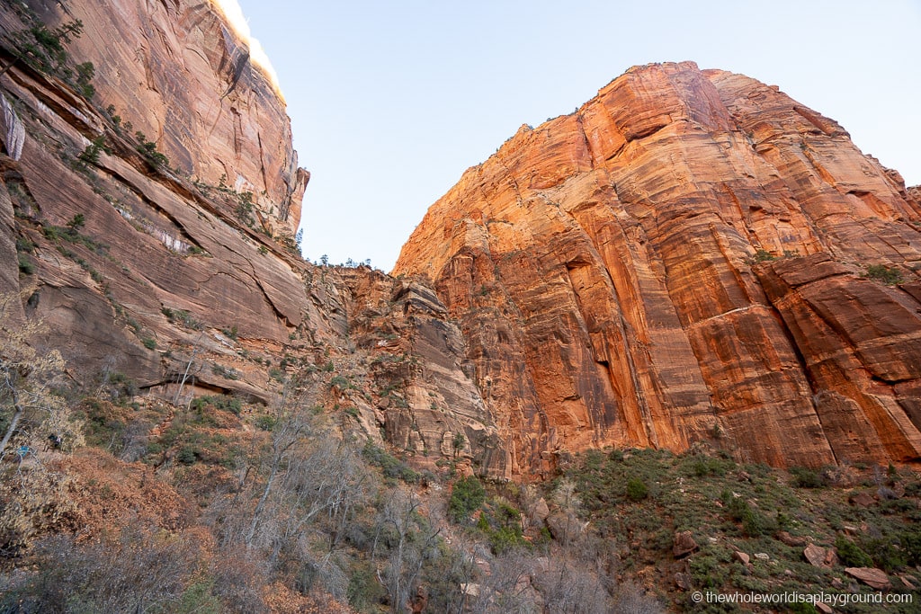 Scout Lookout Zion National Park