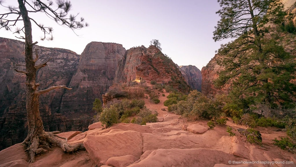 Scout Lookout Zion National Park