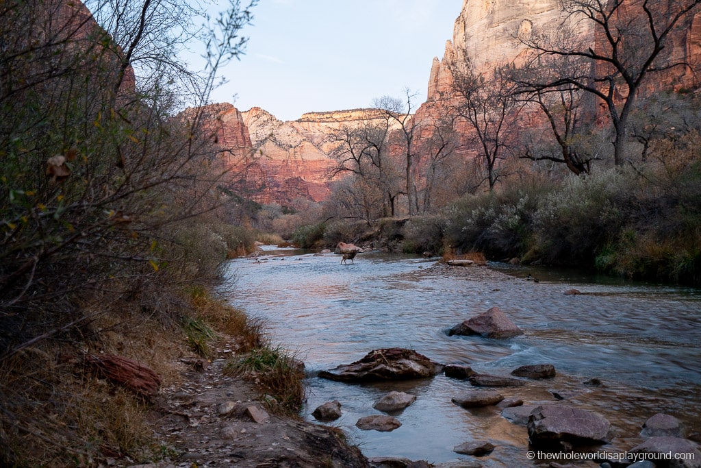 9 Best Things to do in Zion National Park | The Whole World Is A Playground