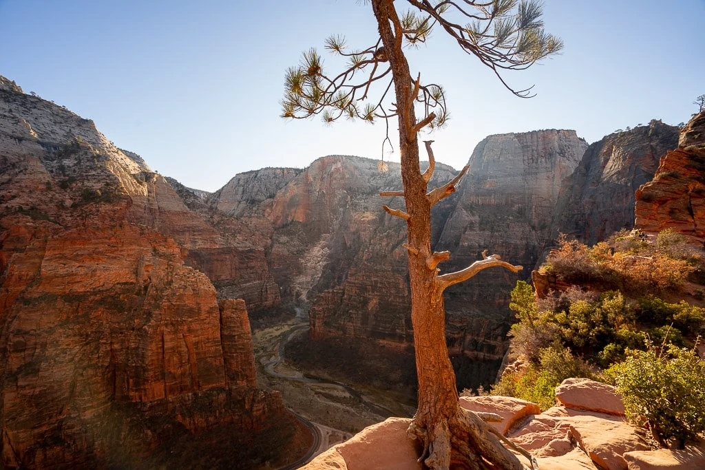 Zion Itinerary