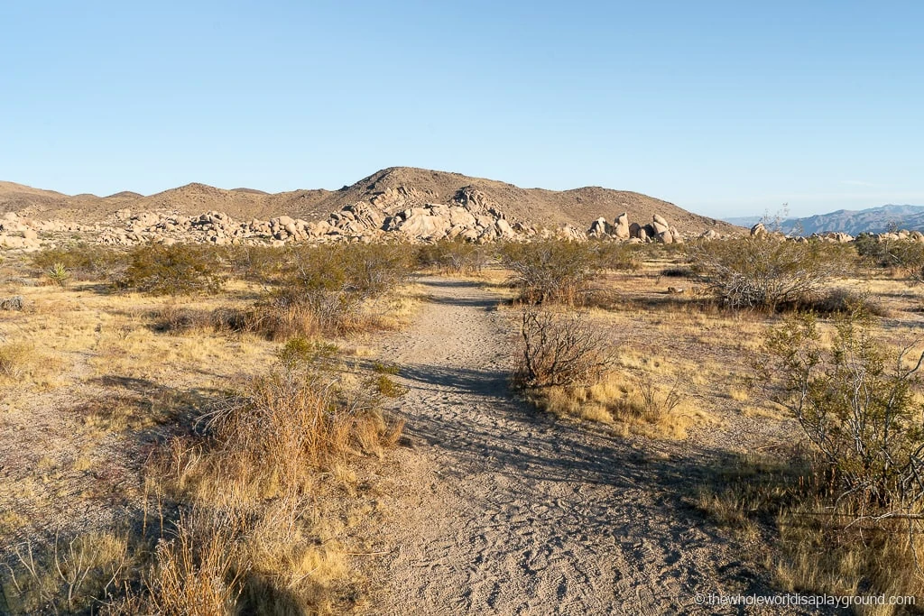 Arch Rock Joshua Tree