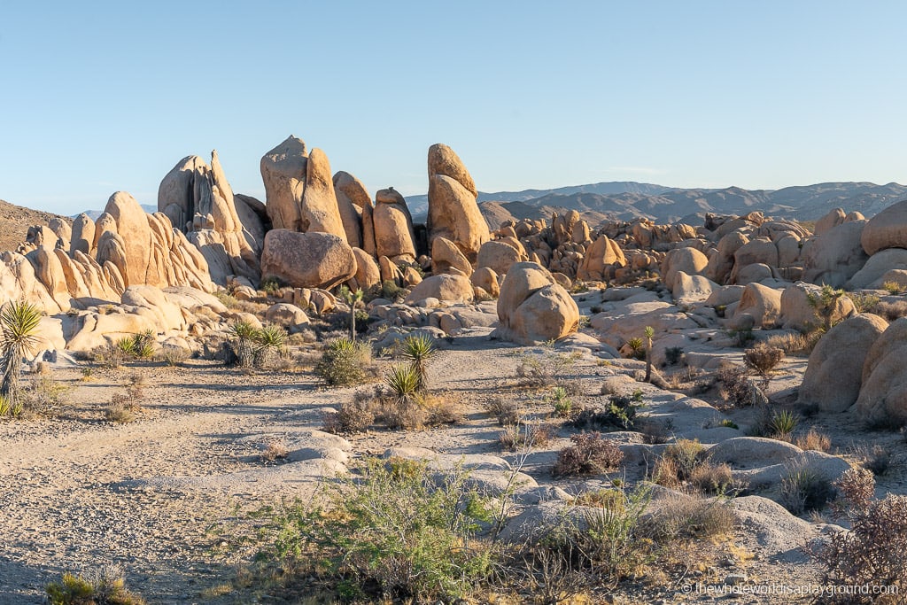Arch Rock Joshua Tree National Park The Whole World Is A Playground