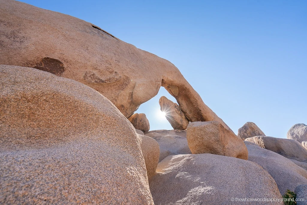 Visiting Arch Rock Joshua Tree (2023) | The Whole World Is A Playground