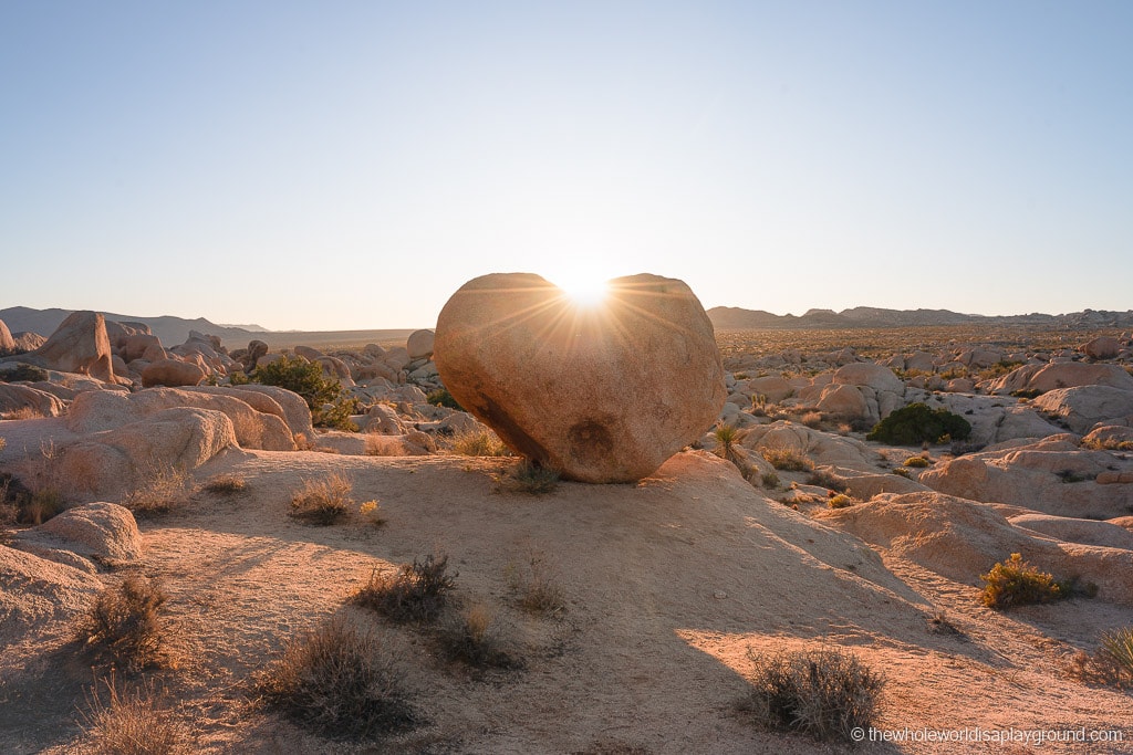 Arch Rock Joshua Tree National Park The Whole World Is A Playground