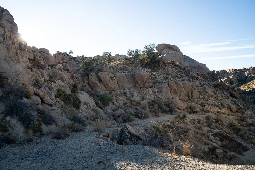 Desert Queen Mine Joshua Tree