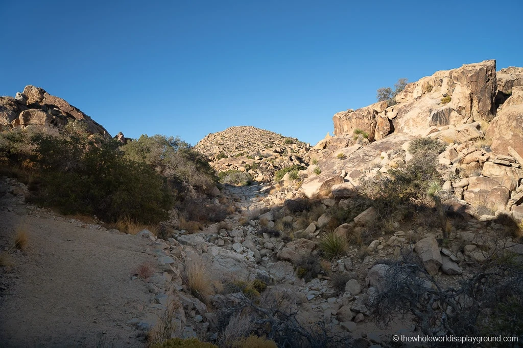 Desert Queen Mine Joshua Tree