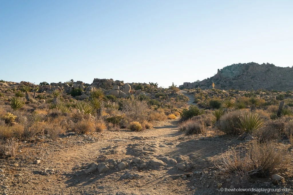 Desert Queen Mine Joshua Tree