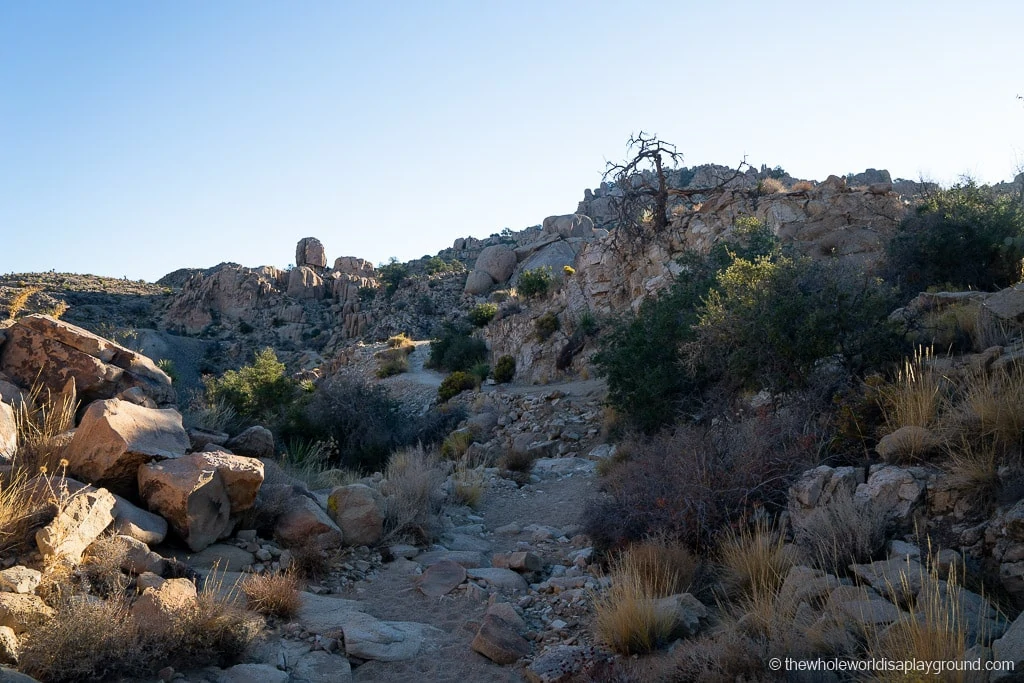 Desert Queen Mine Joshua Tree