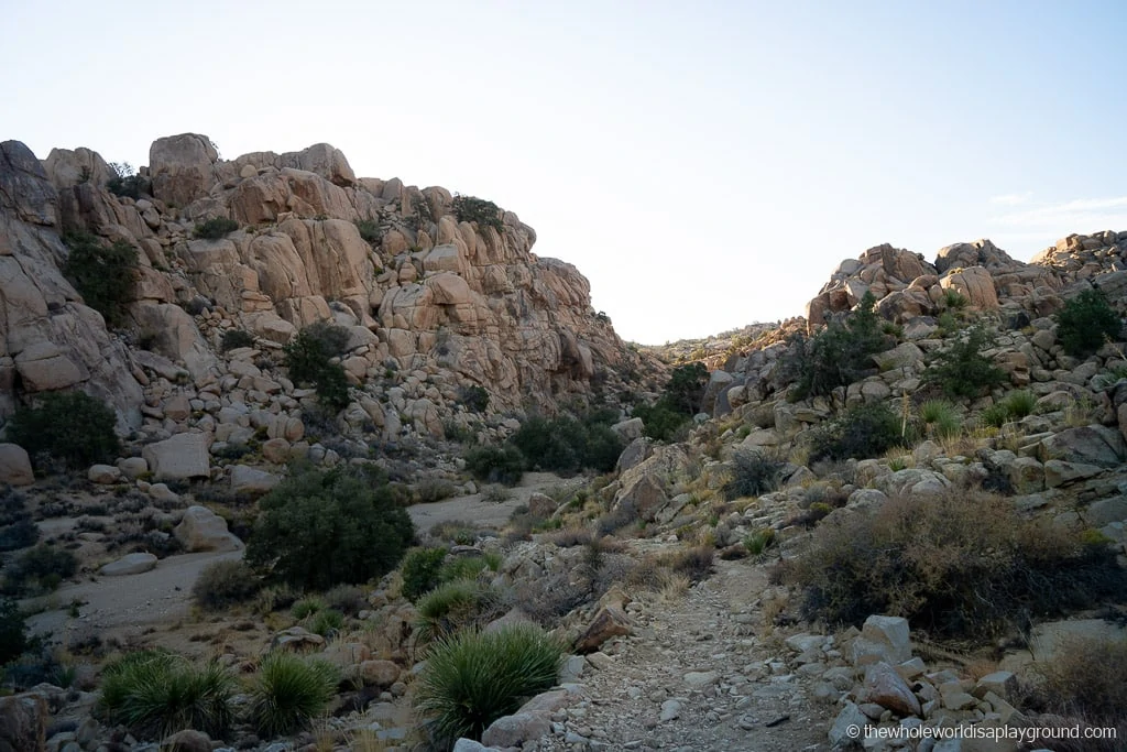 Desert Queen Mine Joshua Tree