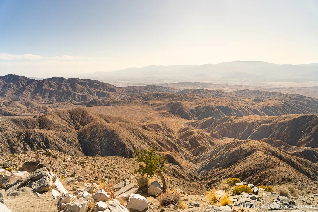 Keys View Joshua Tree