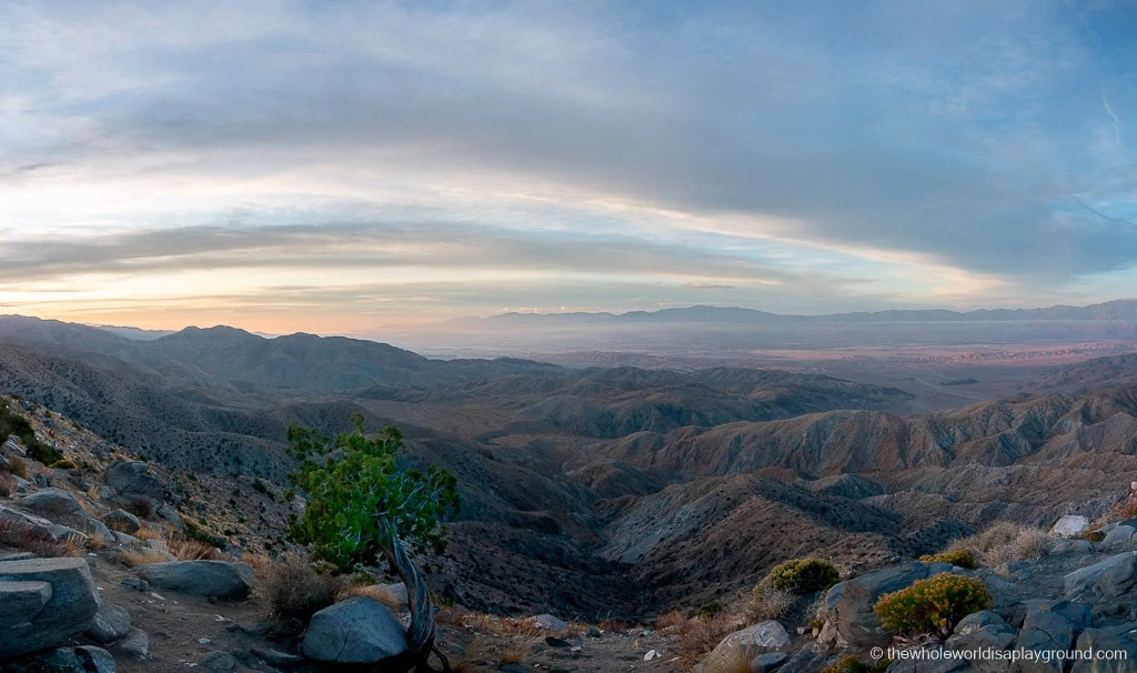 Keys View Joshua Tree