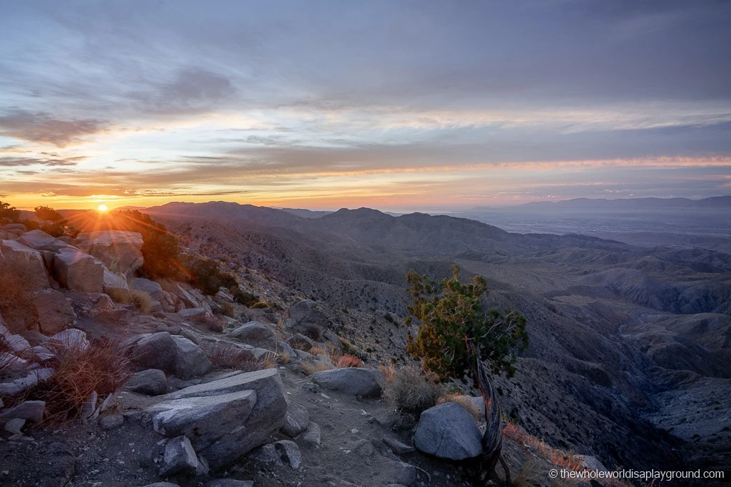 Keys View Joshua Tree