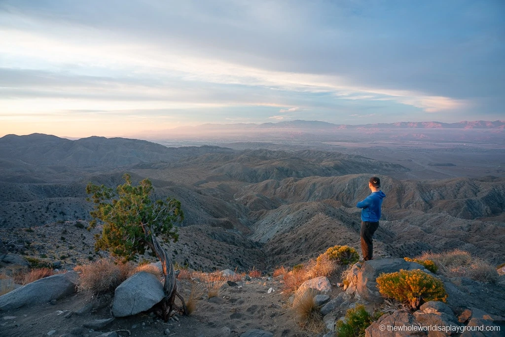 Keys View Joshua Tree