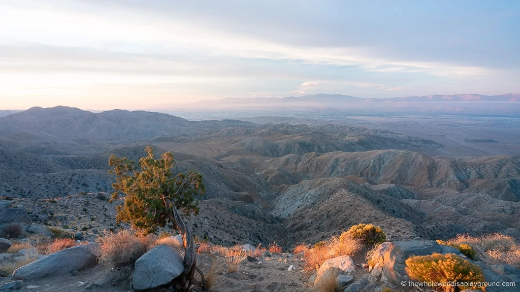 Keys View Joshua Tree