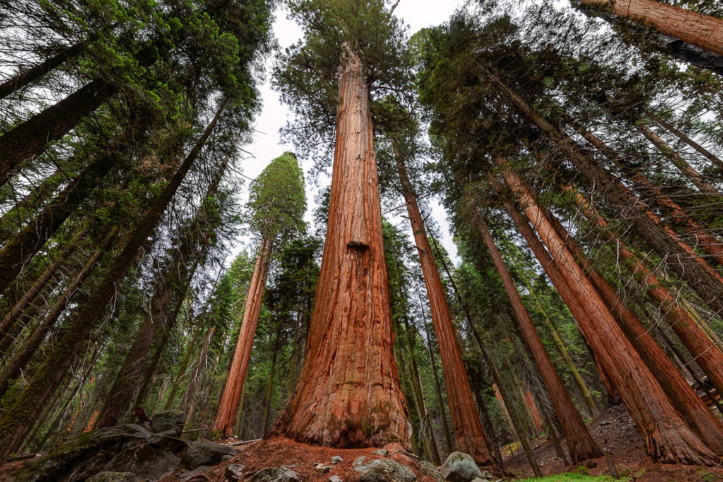 13 Awesome National Parks Near Las Vegas The Whole World Is A Playground