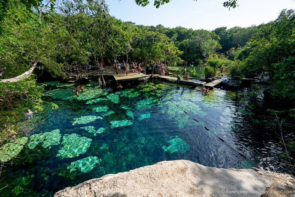 Cenote Azul Riviera Maya Mexico